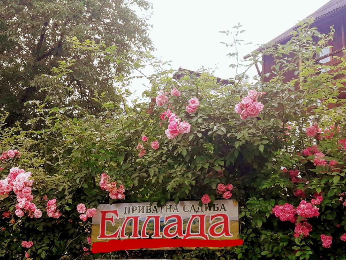 Sadyba Ellada Jaremtje Exteriör bild